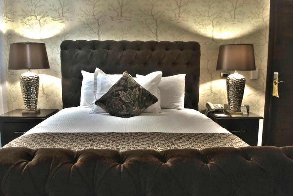 Colombe Hotel Boutique Xalapa Zewnętrze zdjęcie